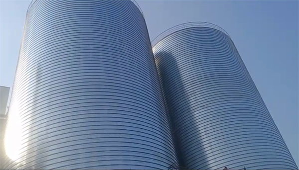 汝城2座混凝土高架卷板仓